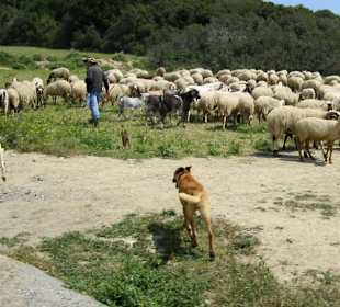 Karpaz