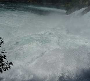 Am Rheinfall