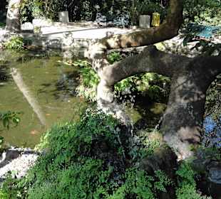 Rodini park u města Rhodos