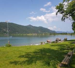 Walchsee