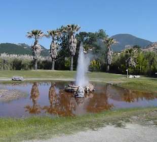 The old Faithful Geyser