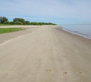 Am Strand der Insel Krautsand