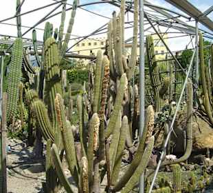 Themenpark im Botanischen Garten Meran