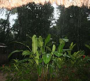 Ulewa w Palenque