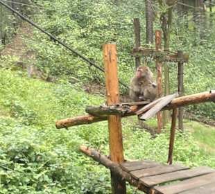 Zoo Olomouc