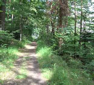 Wanderweg - Alter Steinbruch Pfaffenberg Runde