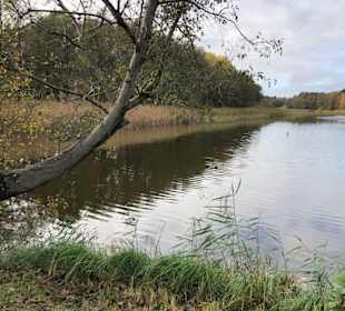 Idyllischer Fußweg zur Seebrücke