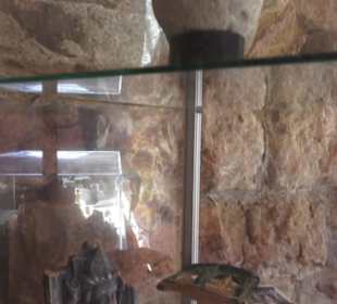 Burgruine Hohenrechberg