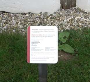 Gallorömischer Tempelbezirk