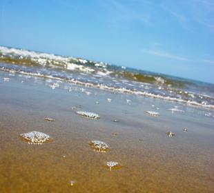 Strand in Bibione Juni 2012