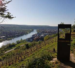 Ausblick vom Weinberg