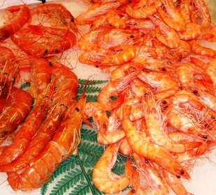 Rundgang durch den Mercat de Sant Josep