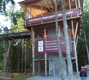 Tierfreigelände und Waldwipfelpfad 