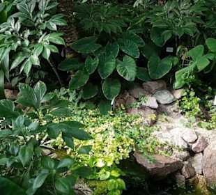 Botanischer Garten
