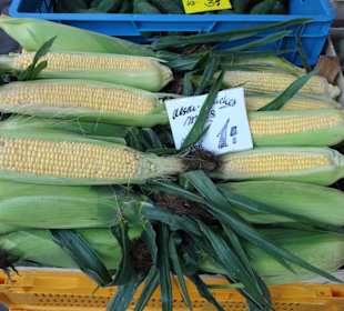 Rundgang über den Wochenmarkt Südermarkt 