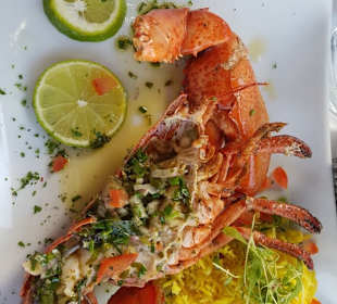 Ein ganzer halber Hummer