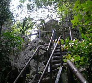 Treppe duch den "Dschungel"