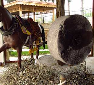 Evrenseki Kulturhaus 