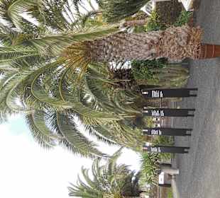 Museo Cesar Manrique