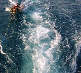 Dolphintour mit Oototo zum Zweiten