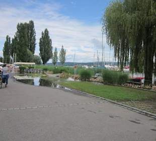 Insel Reichenau Hochwasser