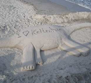 Sandfiguren Wettbewerb 2014