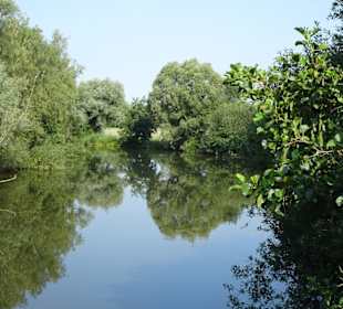 Tour durch den sommerlichen Park Links der Weser