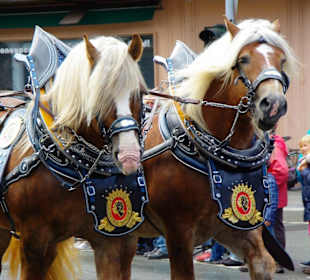 Erntedankfestzug 2012 Fürth