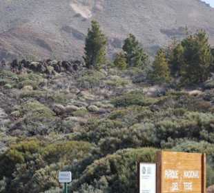 Park el teide