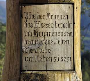 Wahre Worte ...