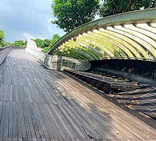 Henderson Waves Bridge