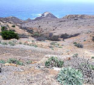 Inseltour Porto Santo