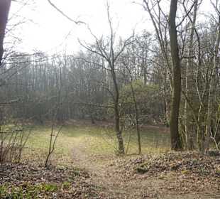 Wunderschöne Boberger Niederung