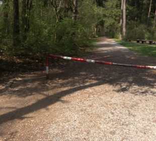 Grill- und Waldspielplatz am Waldlehrpfad
