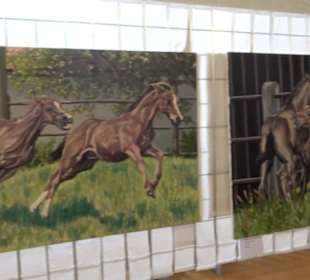 Gestütshof Offenhausen