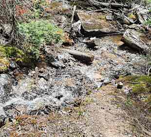 ...vorbei an kleinen Bächen...