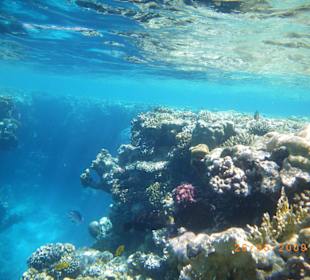 Rafa na plaży w Hadabie