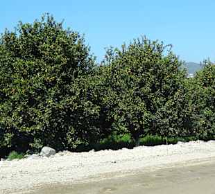 Land und Leute Fahrt bei Toni
