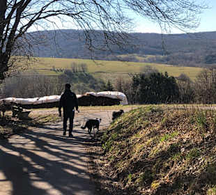 Wandern Dammbach