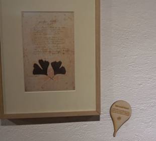 Museum Römer und Bajuwaren