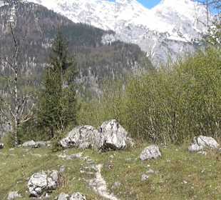 Weg zum Obersee