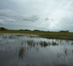 Airboat-Tour in den Everglades