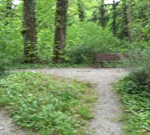 Fürstengarten Hechingen