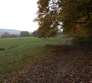 Herzog-Jäger-Pfad