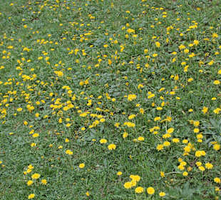 Slowakisches Paradies