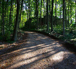 Wanderung zum Signalstein Fränk.Schweiz