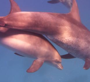 Urlaubserlebinsse die man nicht vergisst.