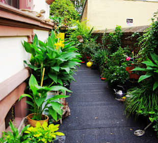Eingang als Garten gemacht