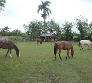 Rancho El Contento