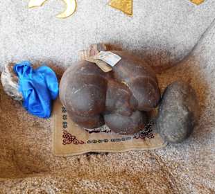 Tempel Aglag Buteelin Khiid